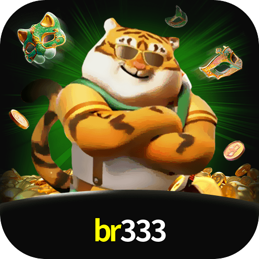 br333 Logo